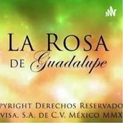 La rosa de Guadalupe