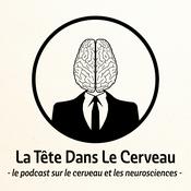 La Tête Dans Le Cerveau