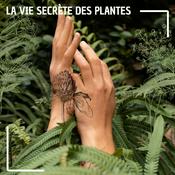 La vie secrète des plantes