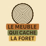 Le meuble qui cache la forêt