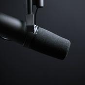 Le Podcast SEO 🎙: Interviews et Tips SEO ✅