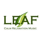 LEAF: Calm Meditation Music
