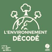 L'environnement décodé