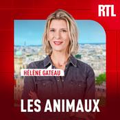 Les animaux