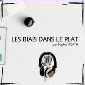 LES BIAIS DANS LE PLAT
