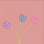 Les mots d'une grande soeur, réflexion douce et pratique