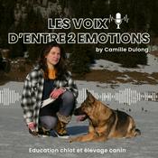 Les voix d'Entre 2 Emotions