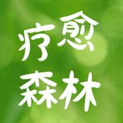 疗愈森林