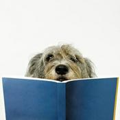 Audio Libros y Cuentos Infantiles