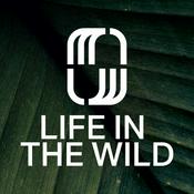Life In The Wild with Michael Bethany