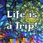 Life is a Trip! Reincarnation and Spiritual Stories
