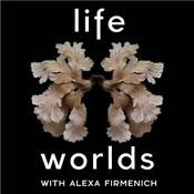Lifeworlds