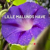 Lille Malunds have
