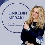 LinkedIn Meraki