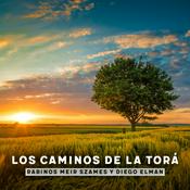 Los caminos de la Torá