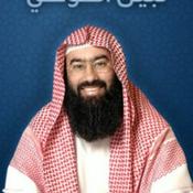 السيرة النوبية - نبيل العوضي