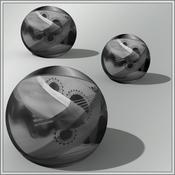 كلمة ونغمة وتر