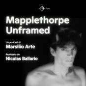 Mapplethorpe Unframed