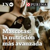 Mascotas: la nutrición más avanzada