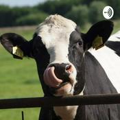 Mastite bovina
