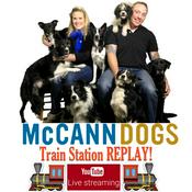 McCann Dog Training - Train Station Replay
