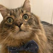 Merry Christmas Beautiful!