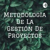 Metodología De La Gestión De Proyectos