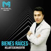 Micheel Mercado Bienes Raíces