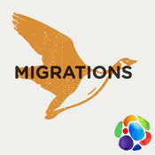 Migrations d'oiseaux