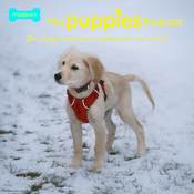 Masswo's The Puppies Podcast