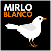 Mirlo Blanco