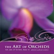 Missouri Botanical Garden Orchid Show 2007