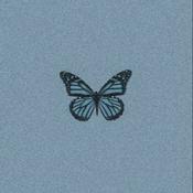 🤍✨🦋
