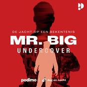 Mr. Big