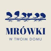 Mrówki W twoim domu
