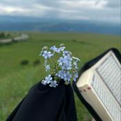 Vibes of Qur’an