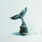 Música para Ballenas