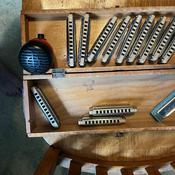 MY Baby Plays the Harmonica