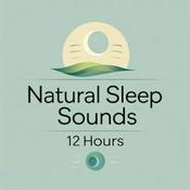 Nature‘s Finest Podcast: White Noise & Sleep Sounds for 12 Hours