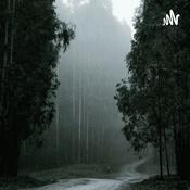 Natureza E Seus Sons Encantadores