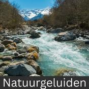 Natuurgeluiden