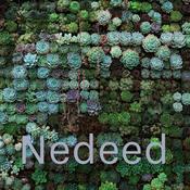 Nedeed