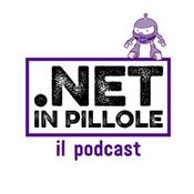 .NET in pillole