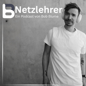 Netzlehrer