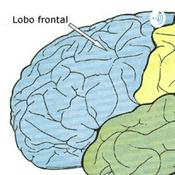 Neuro