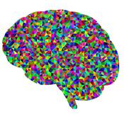 Neurology for Vets and Pets