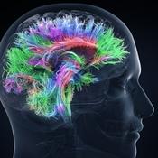 Neuroscienze