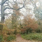 Spirituality, Mindfulness, Mental Health and Wellbeing, Self Help 🌸