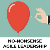 No Nonsense Agile Leadership