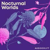 Nocturnal Worlds